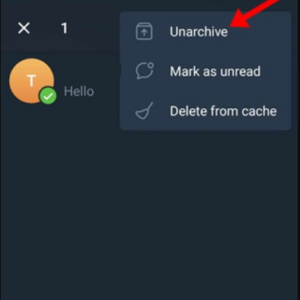 How To Hide A Telegram Chat